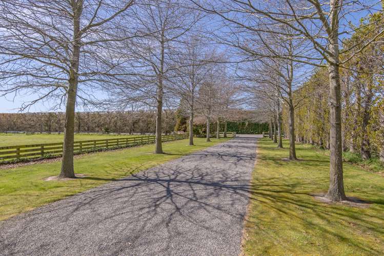 62 Davis Road Lincoln_17