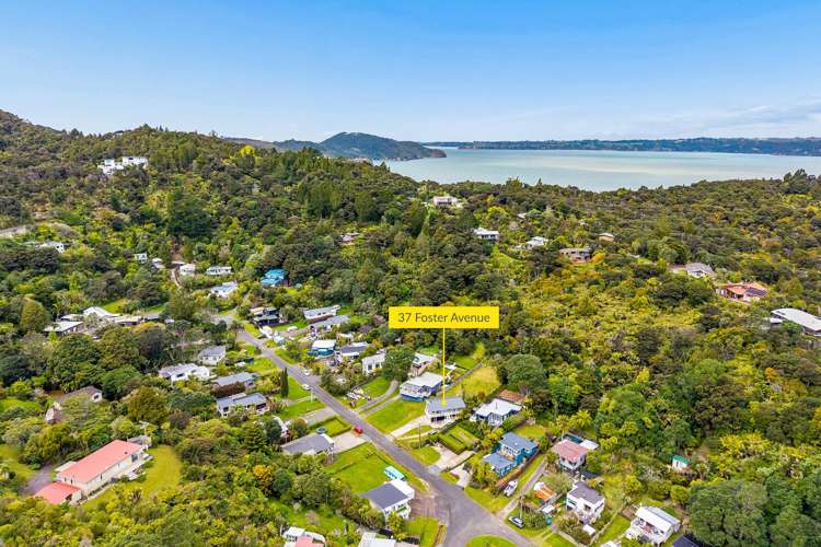 37 Foster Avenue Huia_22