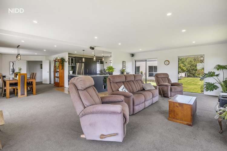 847 Mount Cargill Road Waitati_12