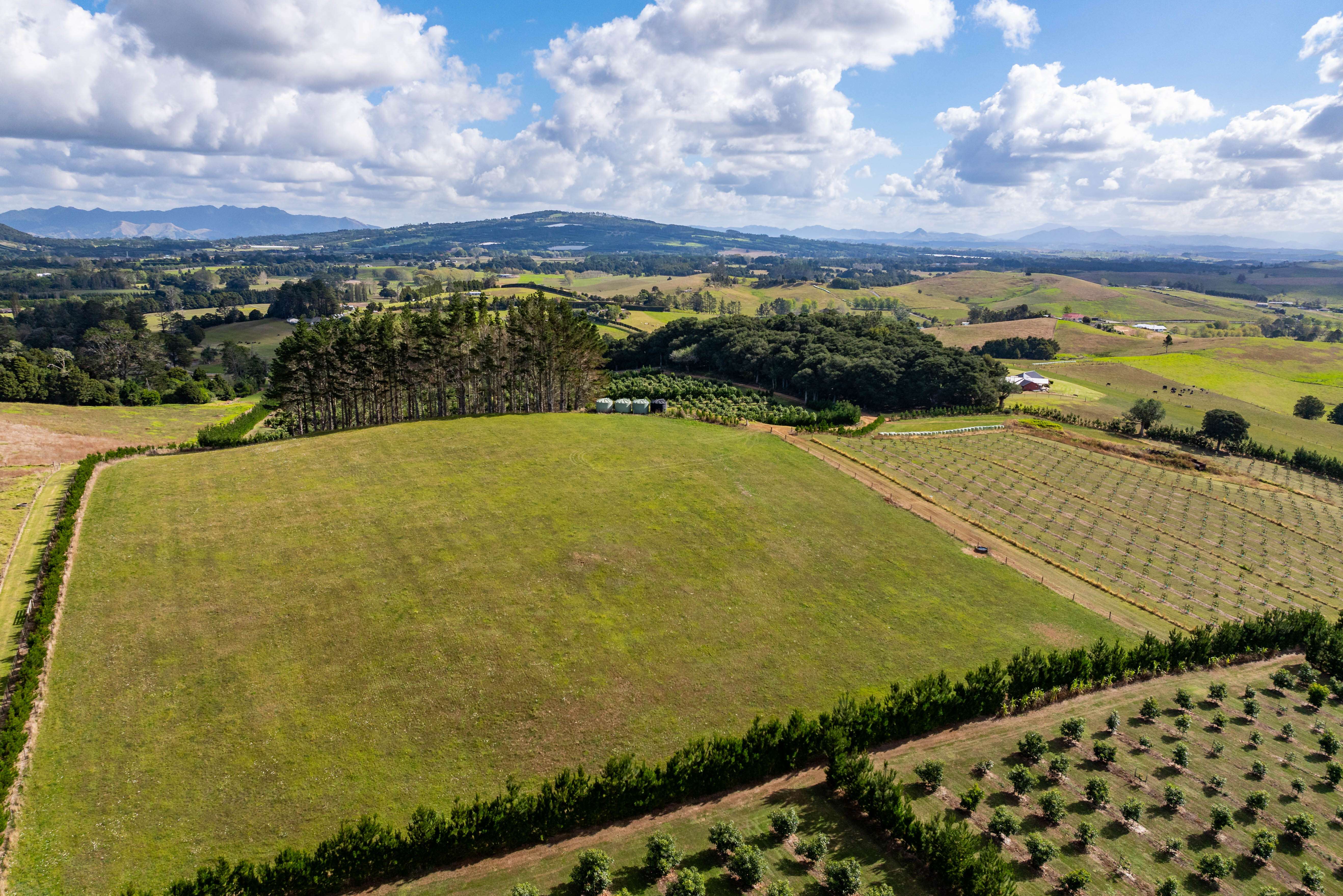 66 Kokopu Block Road Maungatapere Whangārei Rural Property For