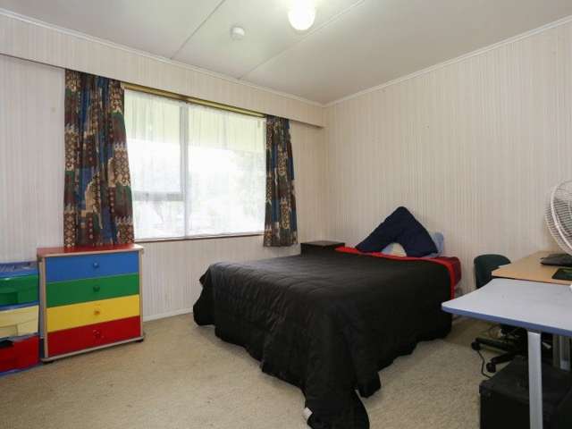 1067 Kauri Street Mahora_2