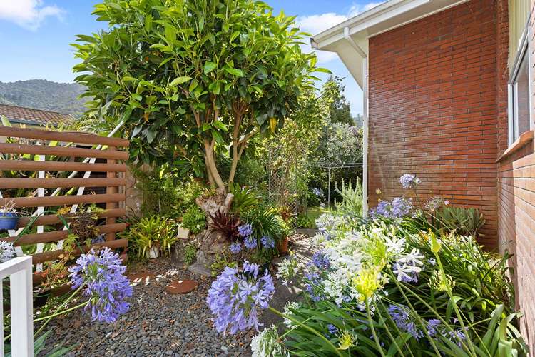 11a Ema Street Te Aroha_12