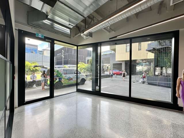 10 Madden Street Auckland Central_2