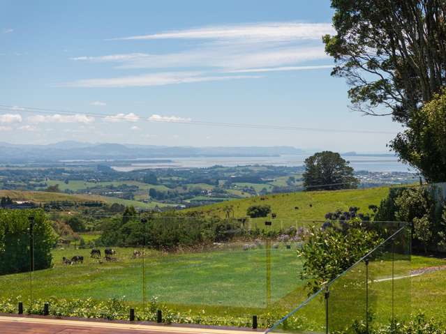 567A Minden Road Te Puna_3