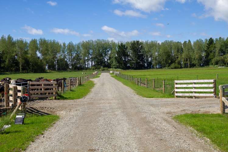 141 Nixons Road Fairlie_10