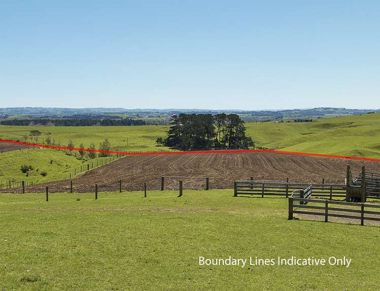 32 Hull Road Te Kohanga_5