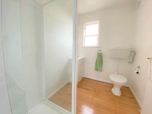 1a Bathurst Road Mount Eden_4