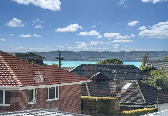 11 Walter Macdonald Street Howick_2