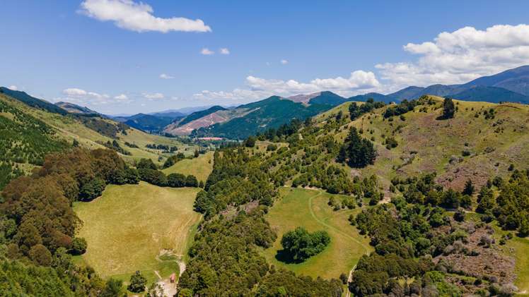 1809 Motueka Valley Highway Ngatimoti_4