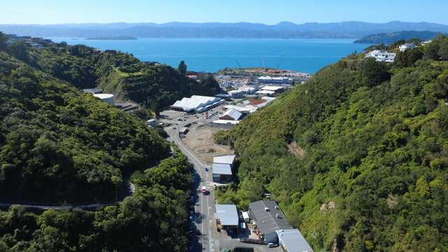61 Kaiwharawhara Road Kaiwharawhara_2