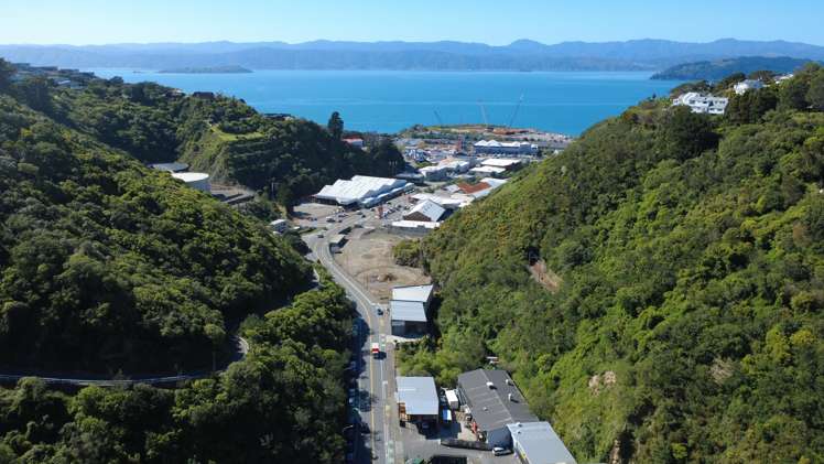 61 Kaiwharawhara Road Kaiwharawhara_2