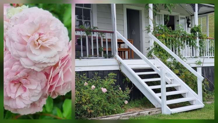 339 Linton Road Maungaturoto_70