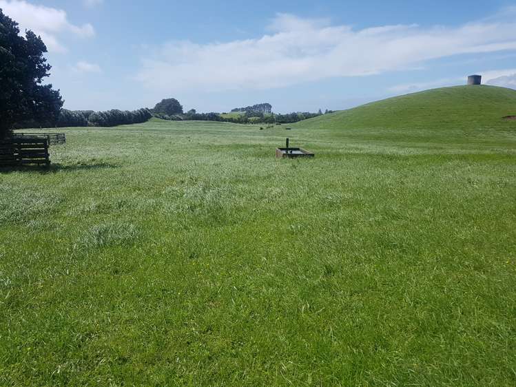 139 Bayly Road Warea_7