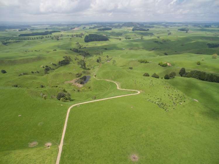 438 Waotu South Road Putaruru_19