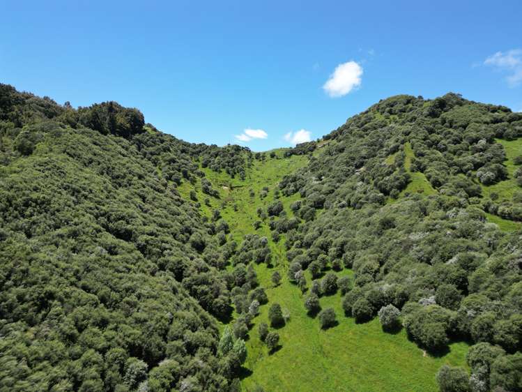 Trussells Track, Tawata Road Taumarunui_5