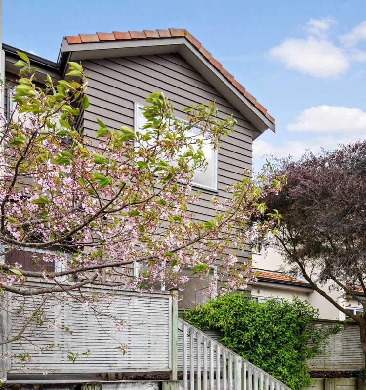 5 Savona Drive Flat Bush_24