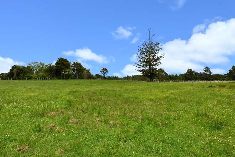 867 Kahikatea Flat Road Waitoki_10