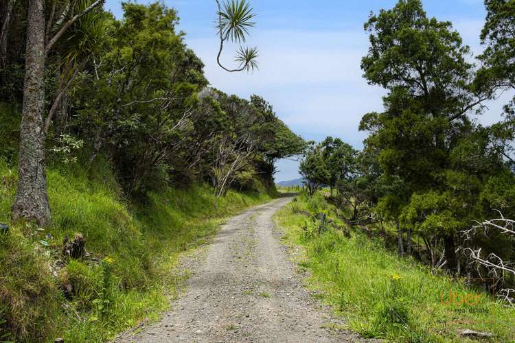 Brindle Road Whirinaki_12