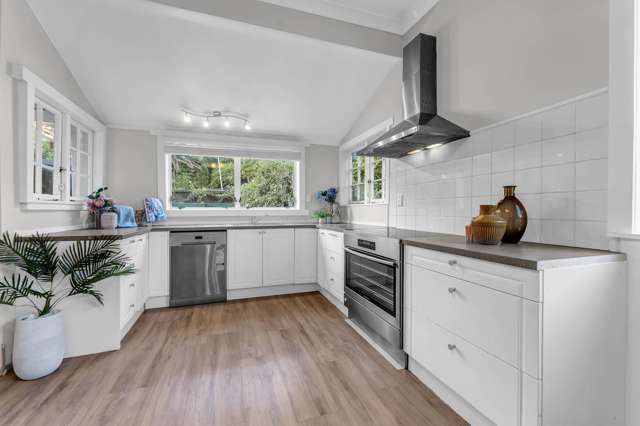 20 Shetland Street Glen Eden_2