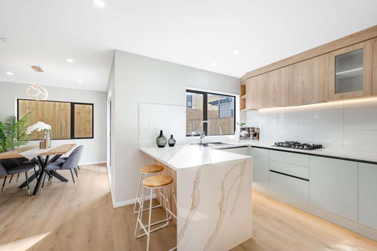 Lots 1-3/146 Botany Road_2