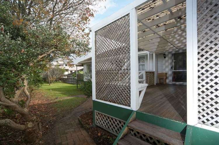 Netherlands Avenue Kelston_2