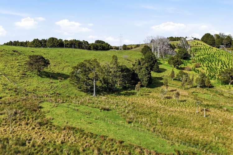 Lot 6 & 7 Otioro Road Topuni_20