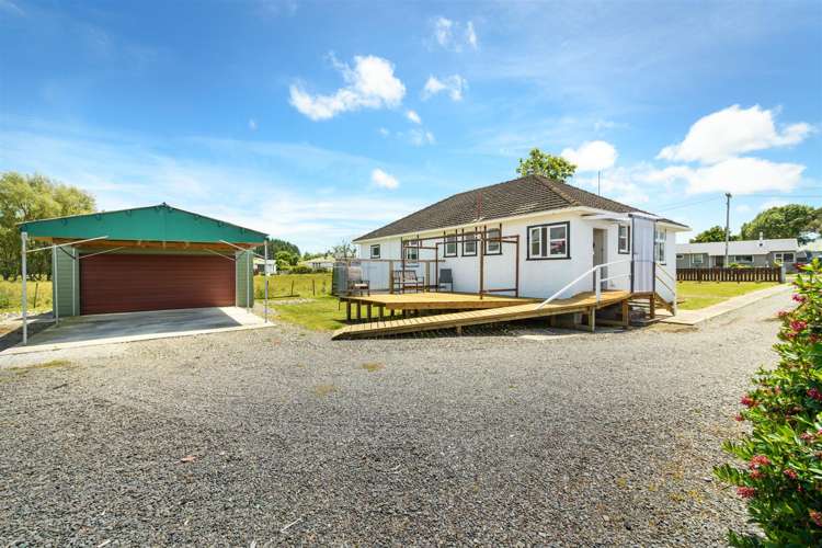 25 Flower Street Bulls_9