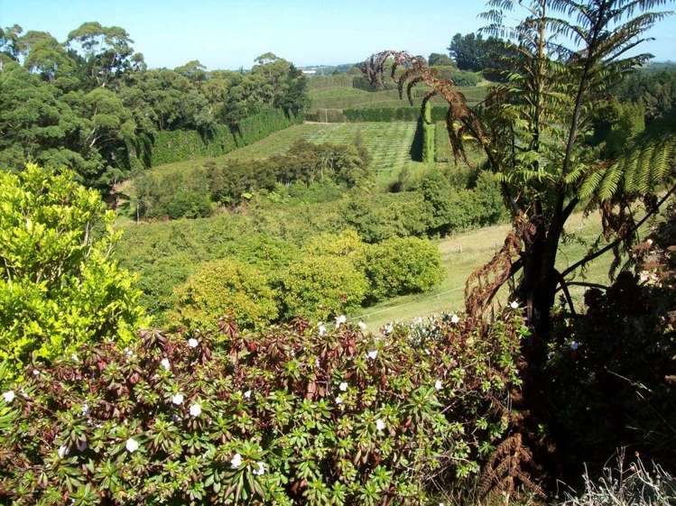 52 Wolseley Road Hauraki Surrounds_12