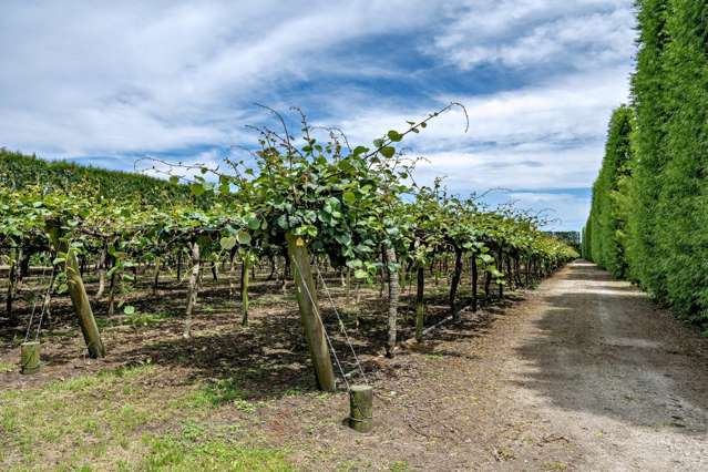 469 Western Drain Road Edgecumbe_4