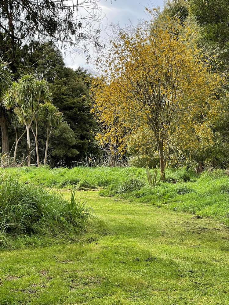 652A Te Whiti Road Te Whiti_26