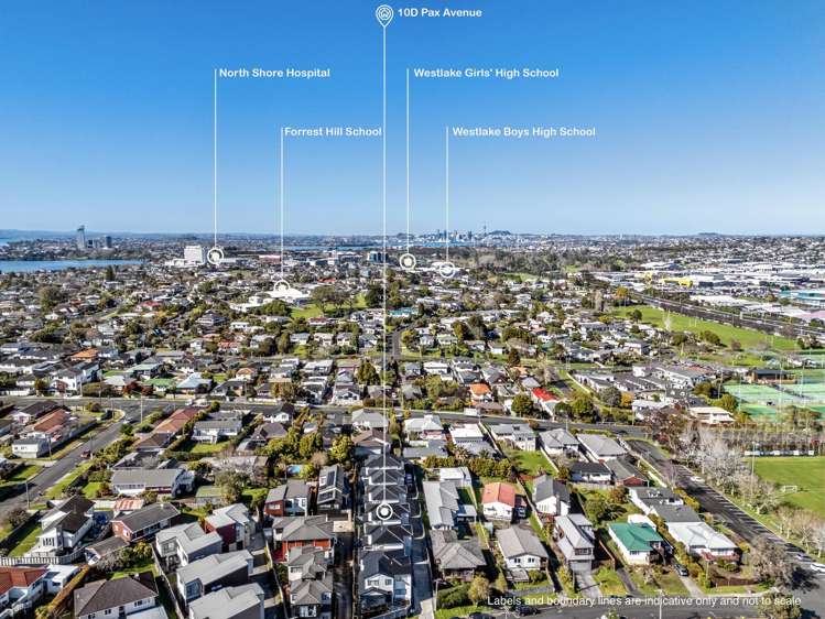 10D Pax Avenue Forrest Hill_15