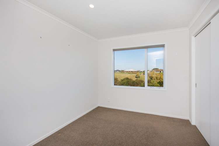 29 Wapiti Avenue Feilding_16