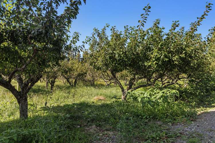 1B Luxton Road Awakeri_15