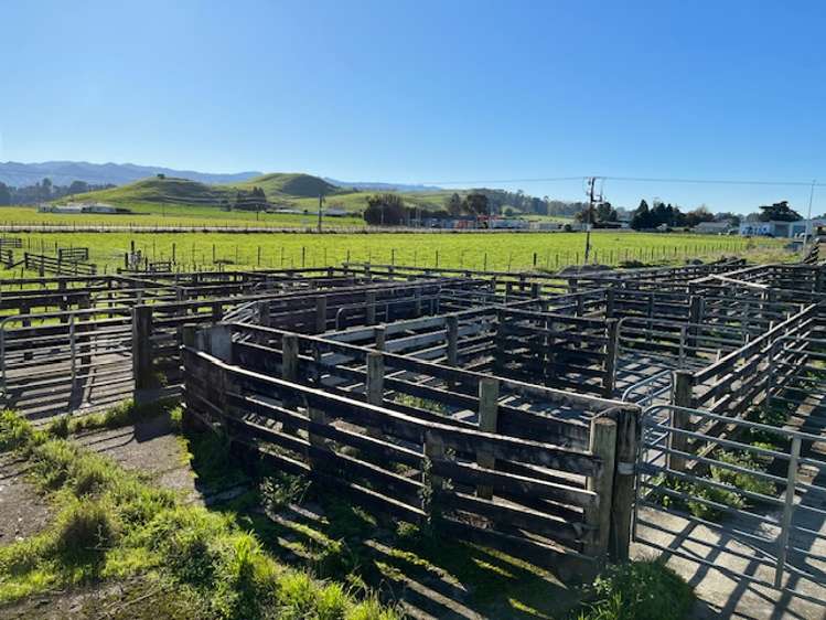 34 School Road Dannevirke_10