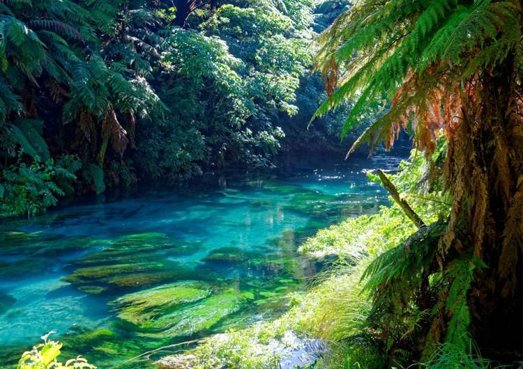 Address withheld Christchurch Surrounds_5