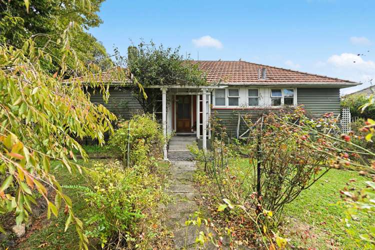 61 Holland Road_0