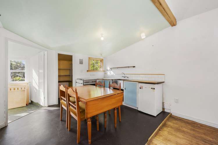 113 Holloway Road Aro Valley_1