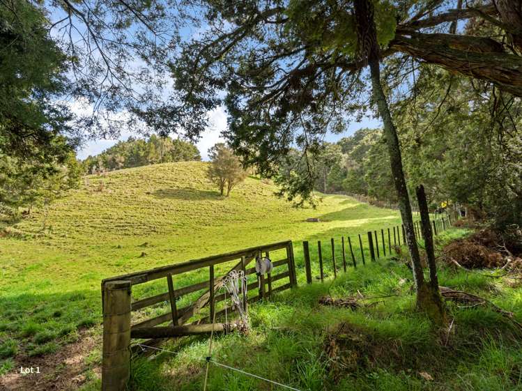 Lot 1 or Lot 2, 0 Roydon Drive Ruatangata West_9