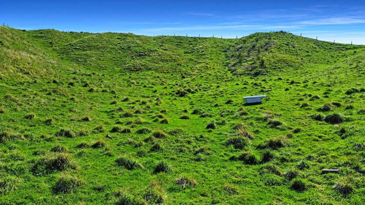 23 Iratumoana Road Pikowai_9