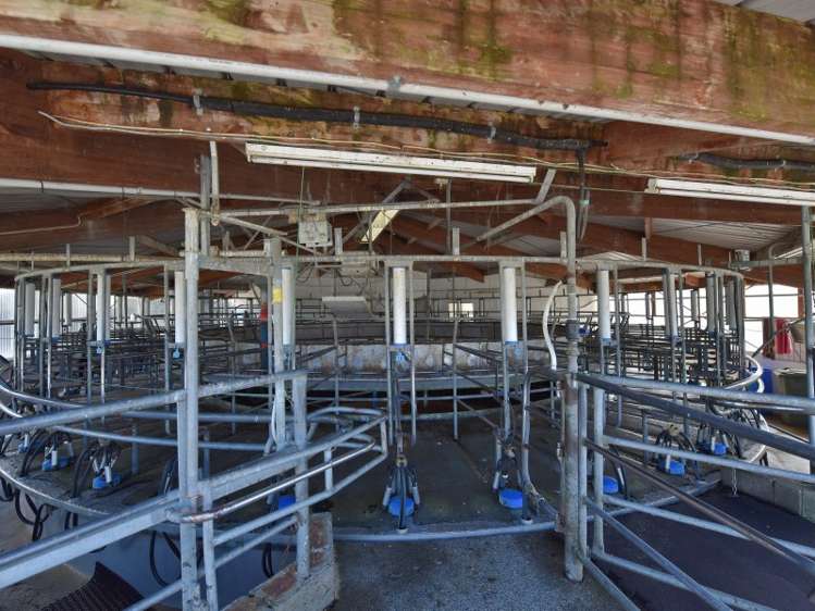 64 Lake Sumner Road Hawarden_5