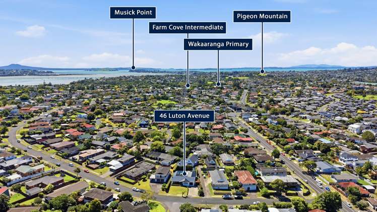 46 Luton Avenue Sunnyhills_4