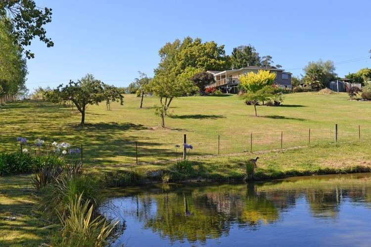 14 Pukeko Lane Redwood Valley_3