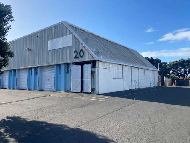 Ground/20 Kingsford Smith Street Rongotai_1