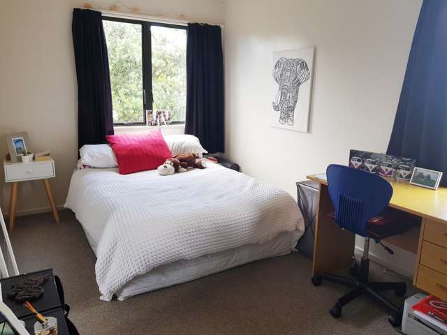 23a Tahapa Crescent Meadowbank_4
