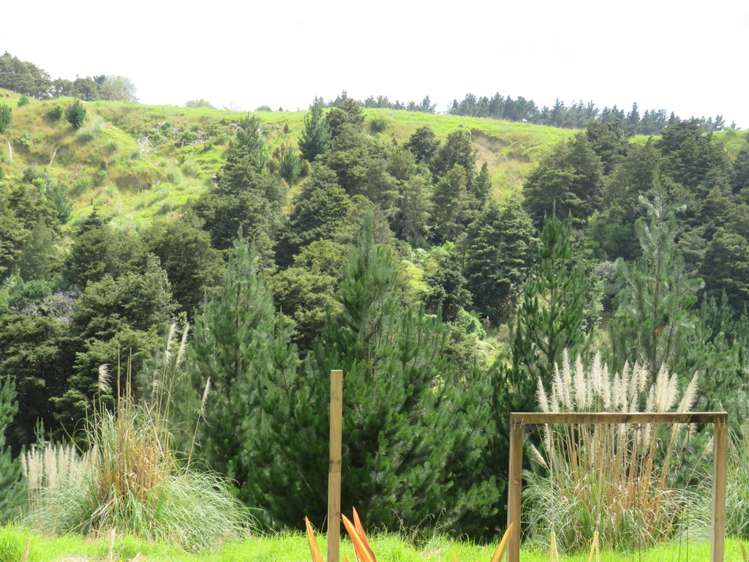 609a Bickerstaffe Road Maungaturoto_20