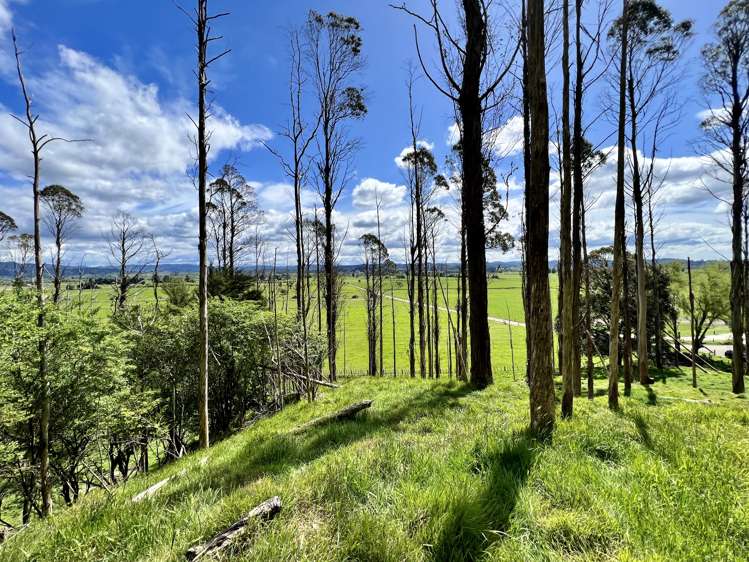 637a Awahou Road Murupara Surrounds_17