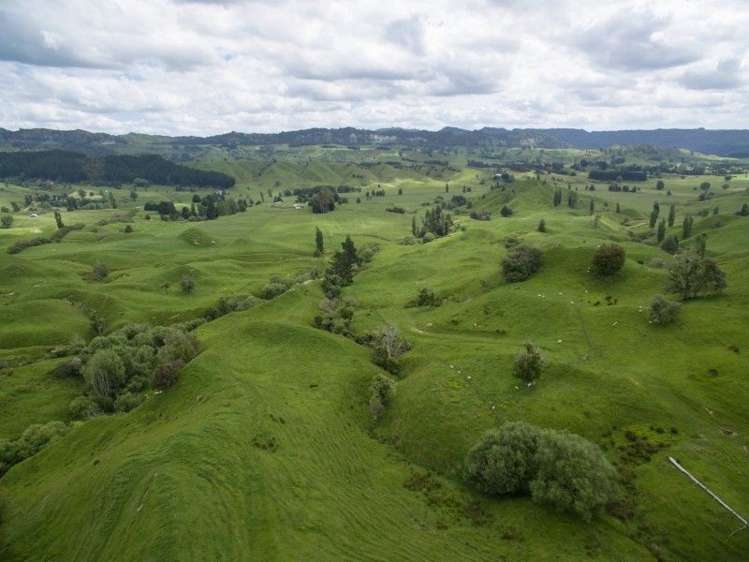 1815 Mokauiti Road Aria_6