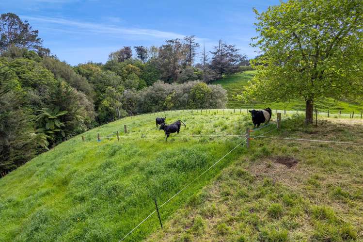 275 Henwood Road Paraite_18