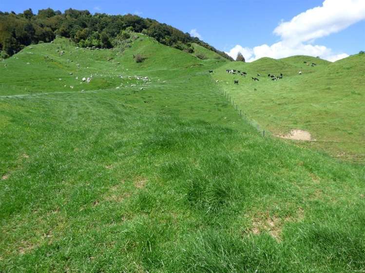 414 Kahuwera Road Te Kuiti_18