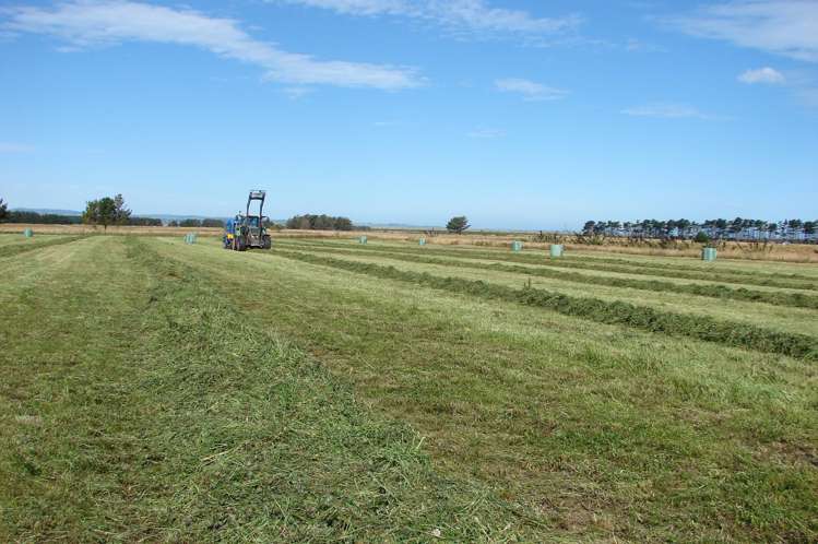 194 Talls Road Gorge Road_15